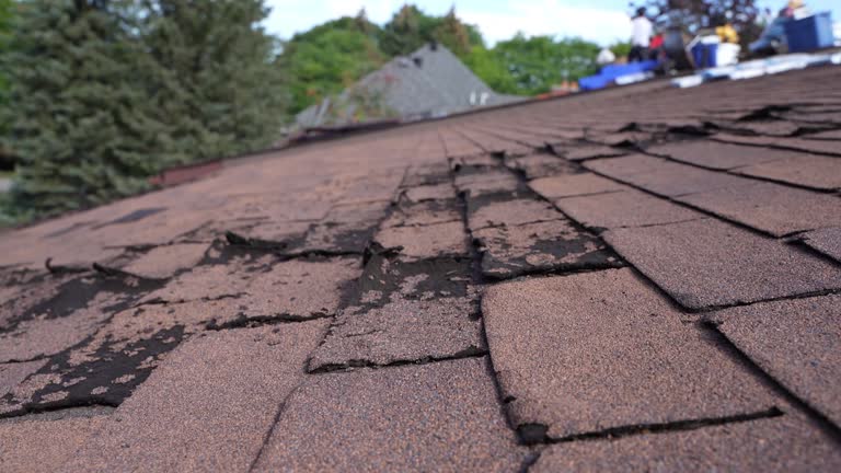 Best Asphalt Shingle Roofing  in La Mesa, CA